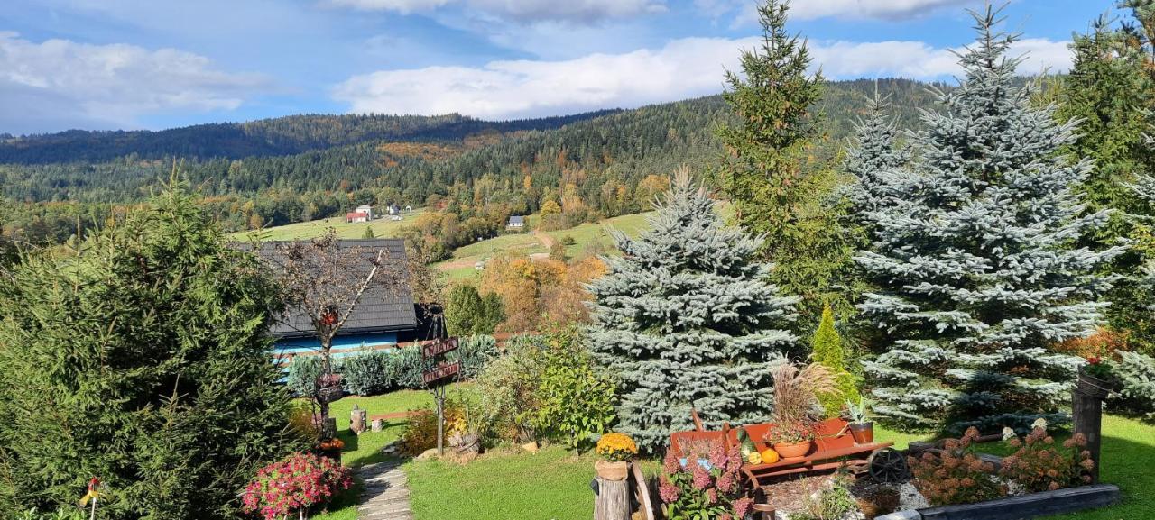 Niebieski W Beskidzie Malym Ferienhaus Slemien
