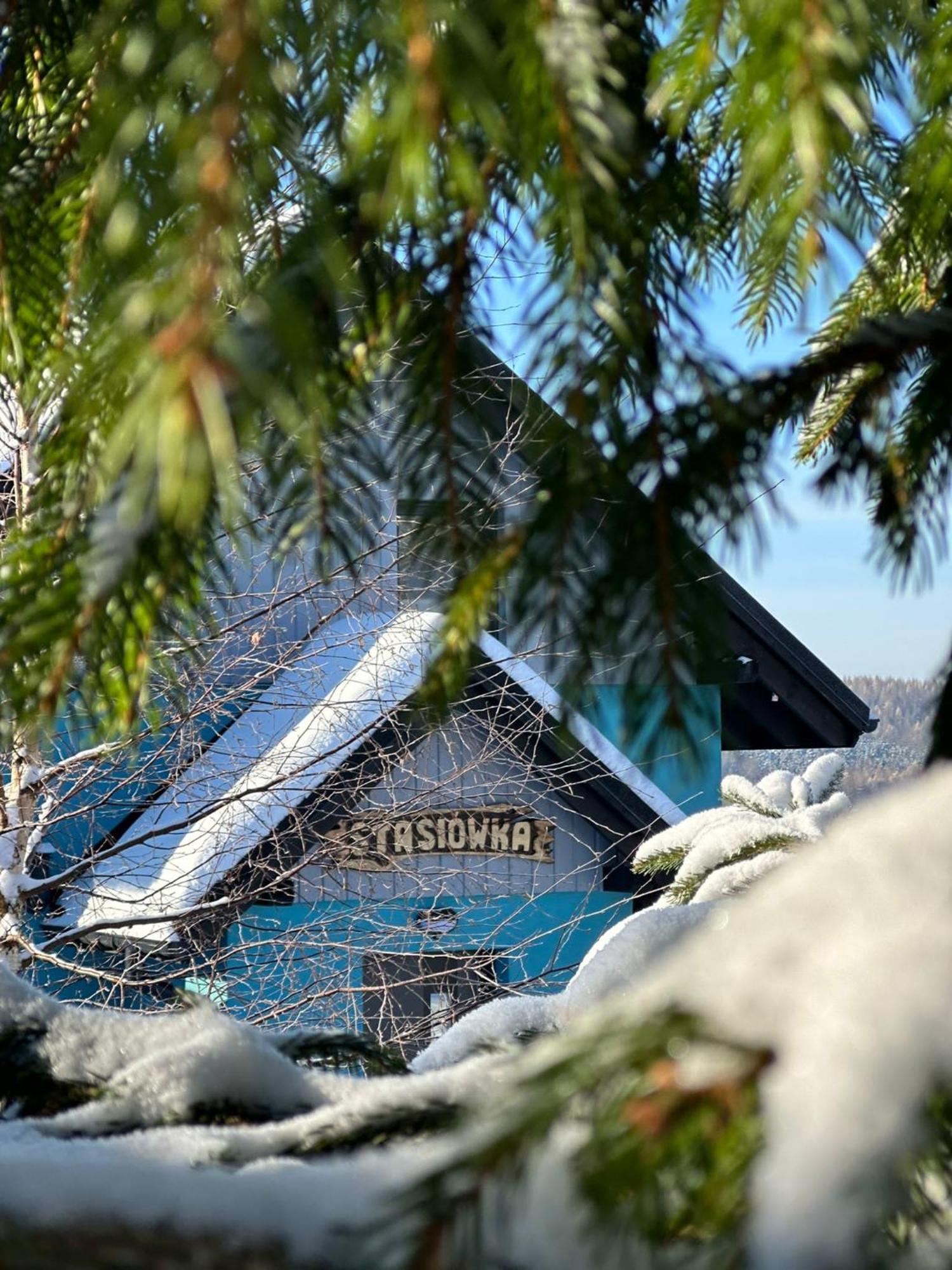 Niebieski W Beskidzie Malym *
