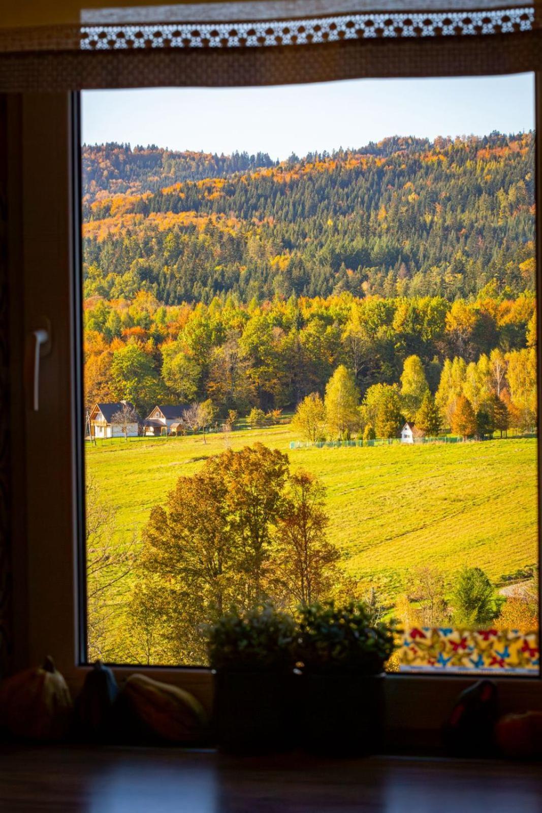Niebieski W Beskidzie Malym Ferienhaus